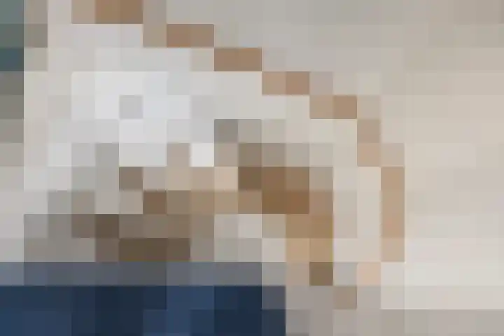 Buizerd 13 Bedum thumbnail 31
