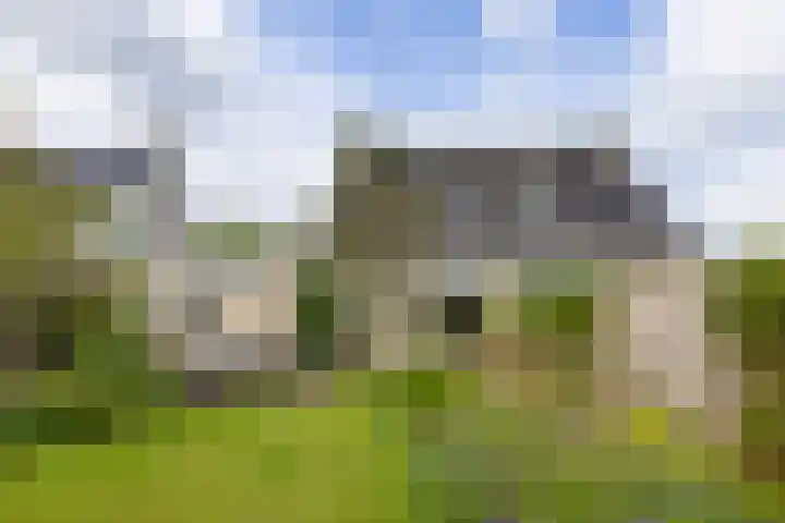 Buizerd 13 Bedum thumbnail 35