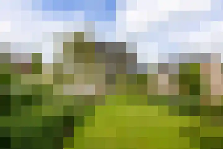 Buizerd 13 Bedum thumbnail 36