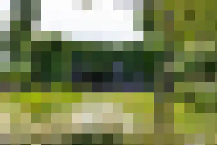 Buizerd 13 Bedum thumbnail 37
