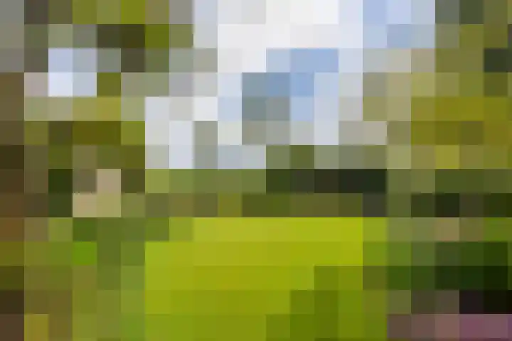 Buizerd 13 Bedum thumbnail 38