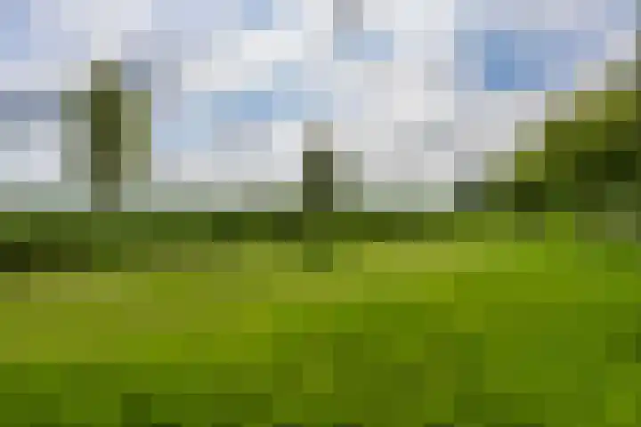Buizerd 13 Bedum thumbnail 39