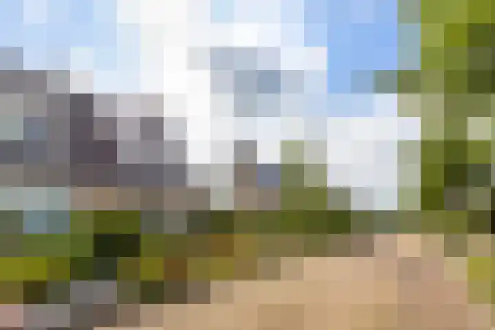 Buizerd 13 Bedum thumbnail 40