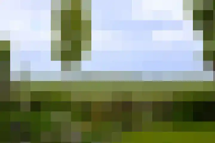 Buizerd 13 Bedum thumbnail 41