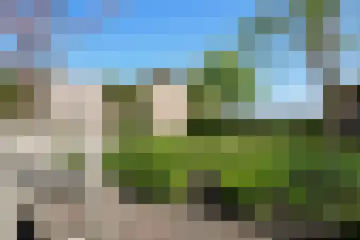 Buizerd 13 Bedum thumbnail 42