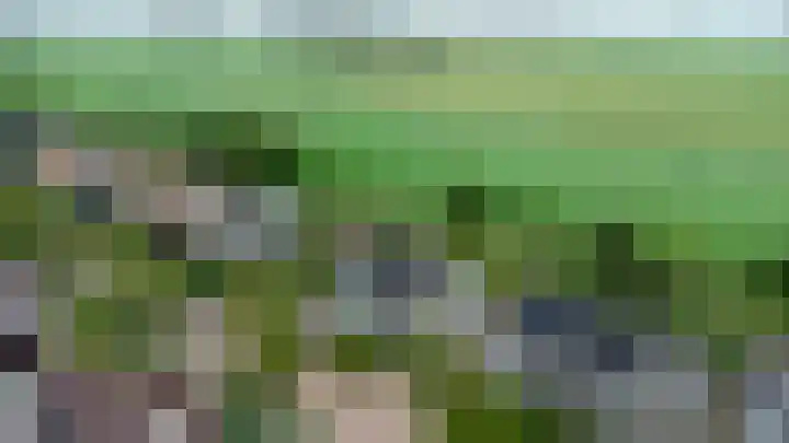 Buizerd 13 Bedum thumbnail 49