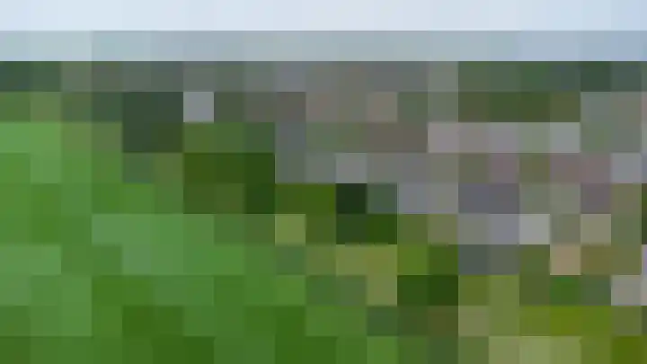 Buizerd 13 Bedum thumbnail 8