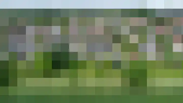 Buizerd 13 Bedum thumbnail 9