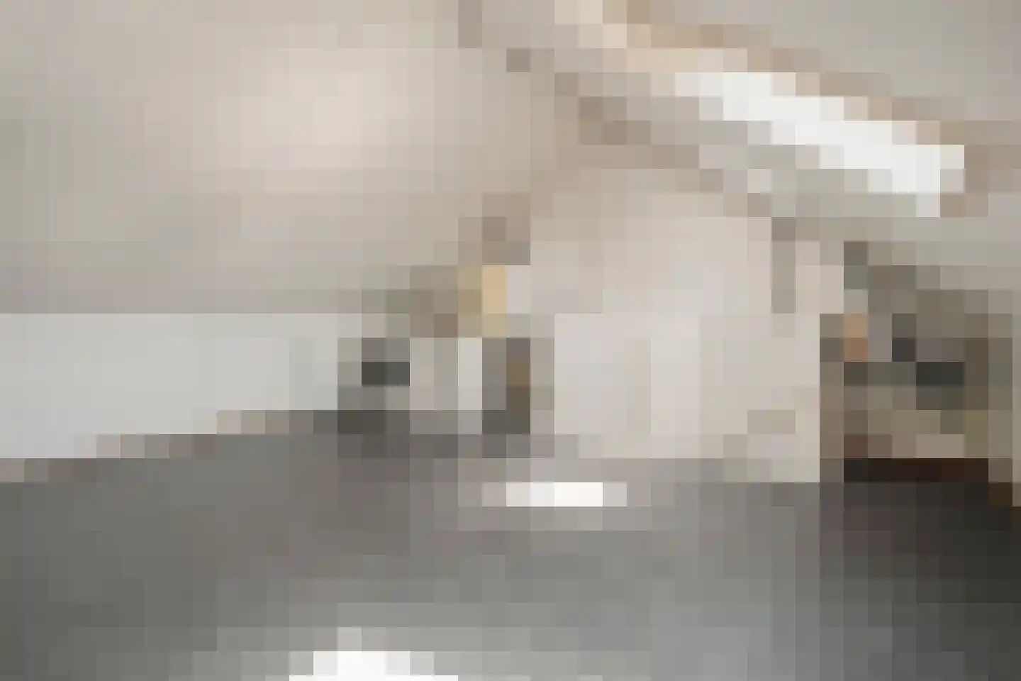 Buizerd 13 Raalte thumbnail 25