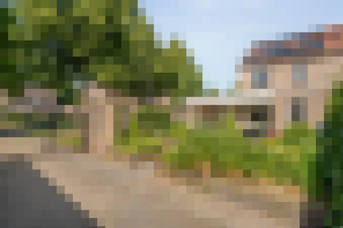 Buizerd 13 Raalte thumbnail 27