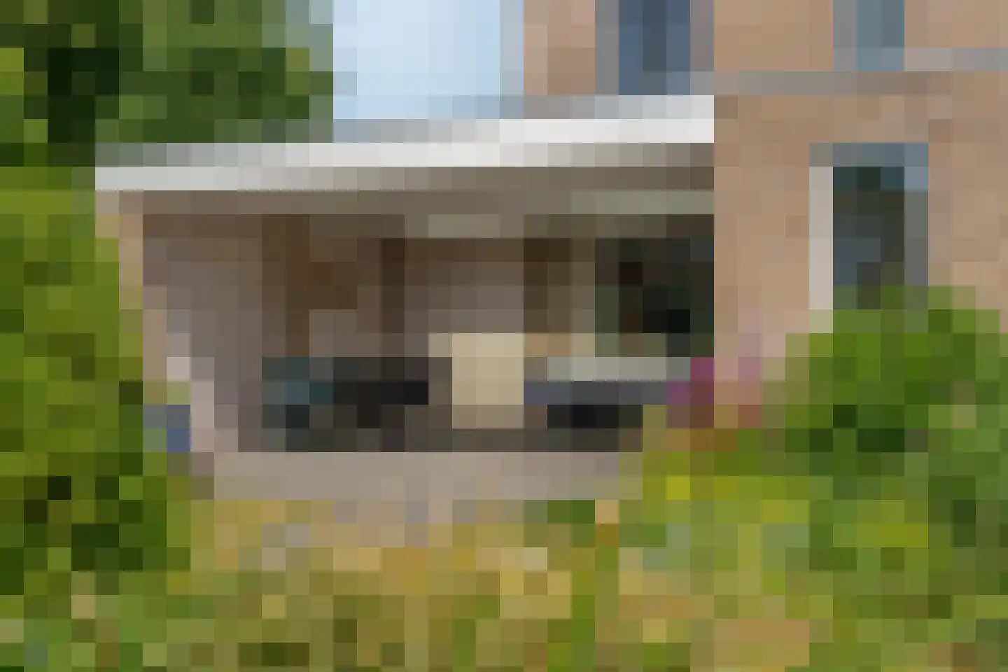 Buizerd 13 Raalte thumbnail 28