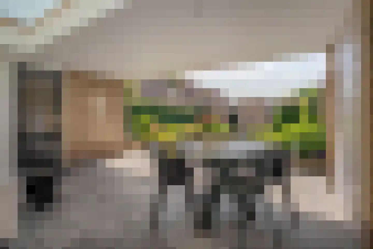 Buizerd 13 Raalte thumbnail 29