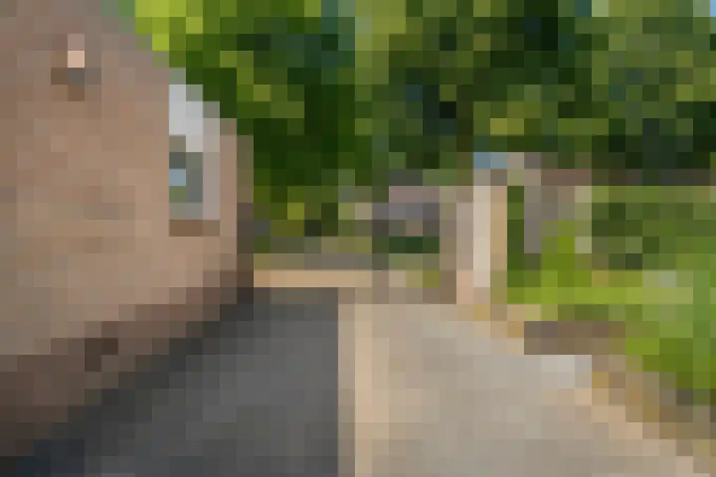 Buizerd 13 Raalte thumbnail 32