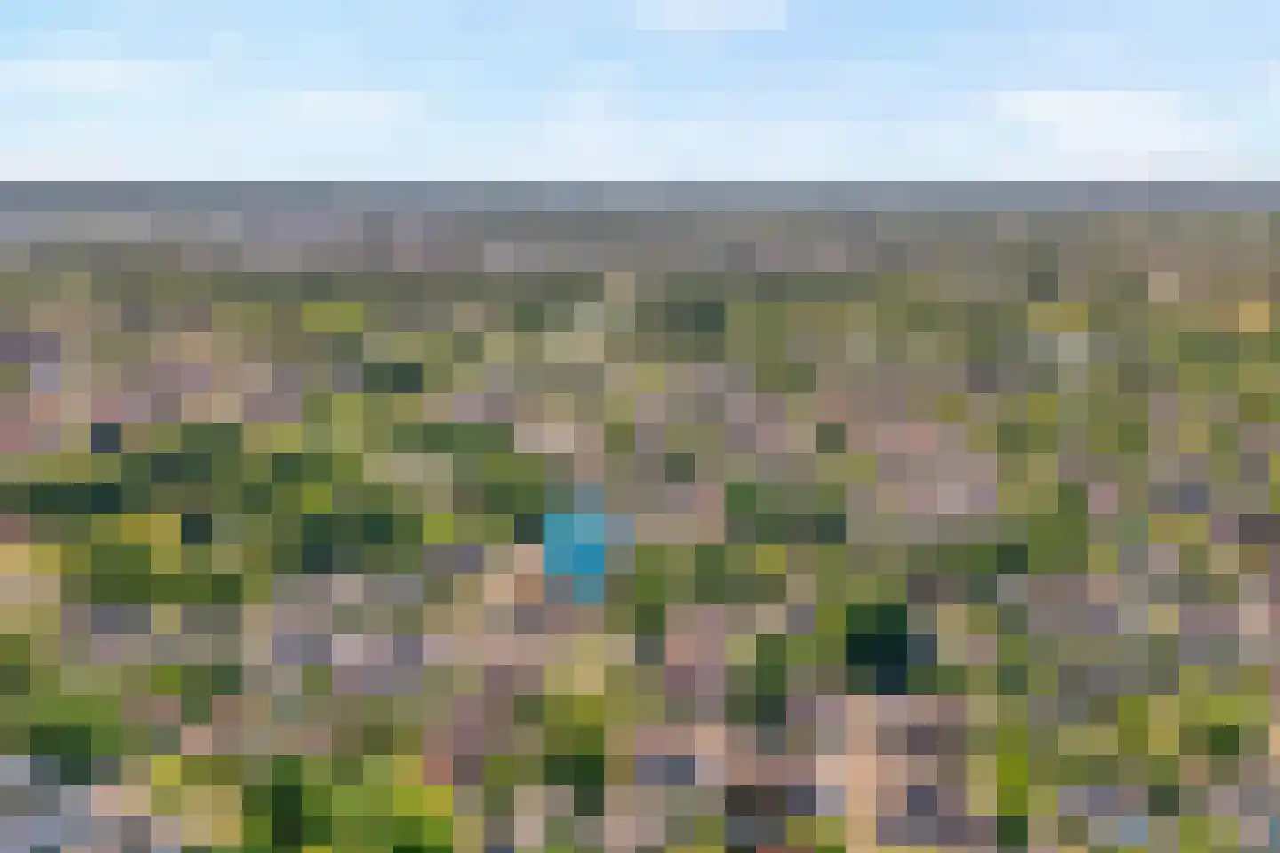 Buizerd 13 Raalte thumbnail 4