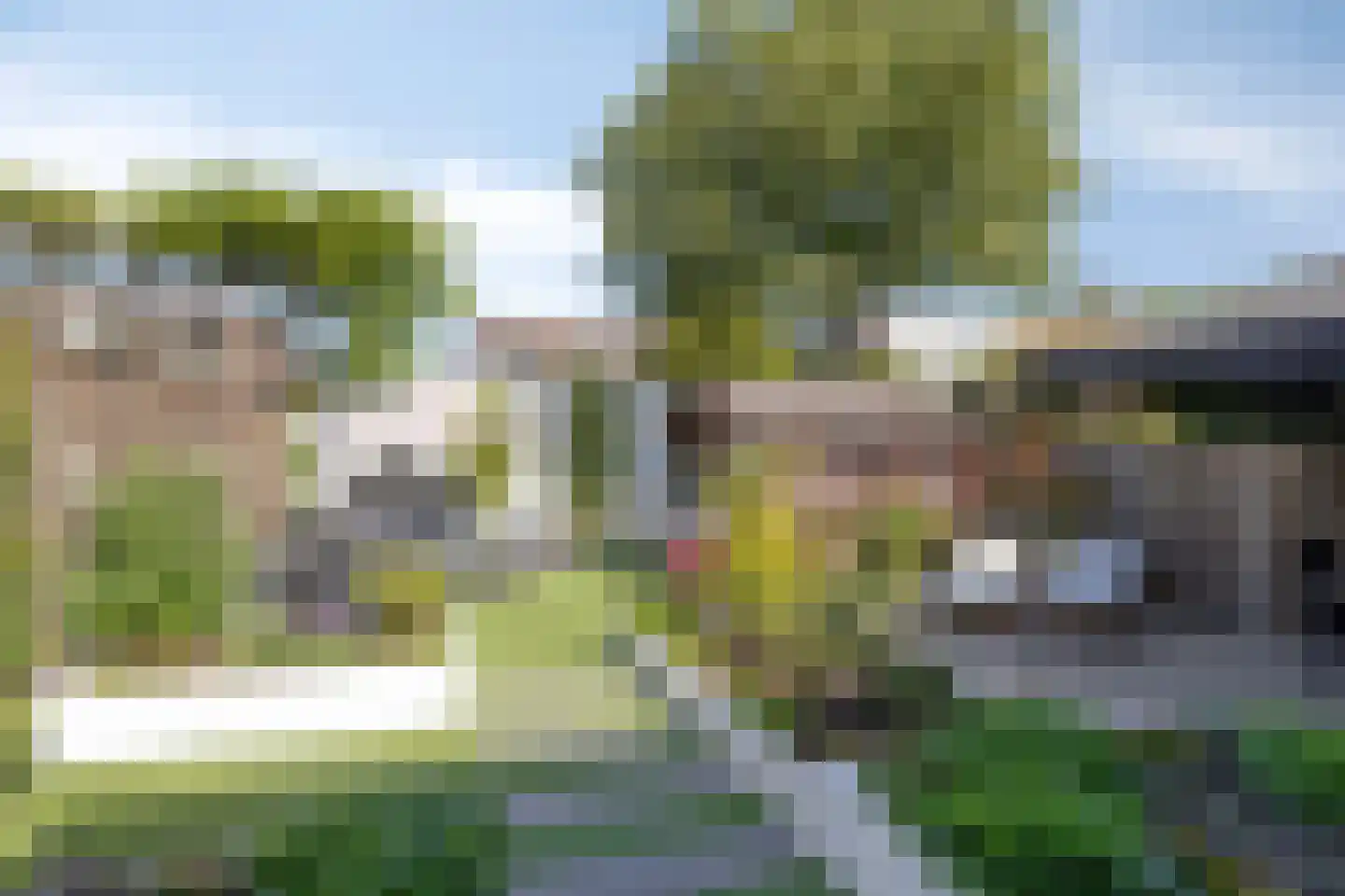 Buizerd 134 Veldhoven thumbnail 23