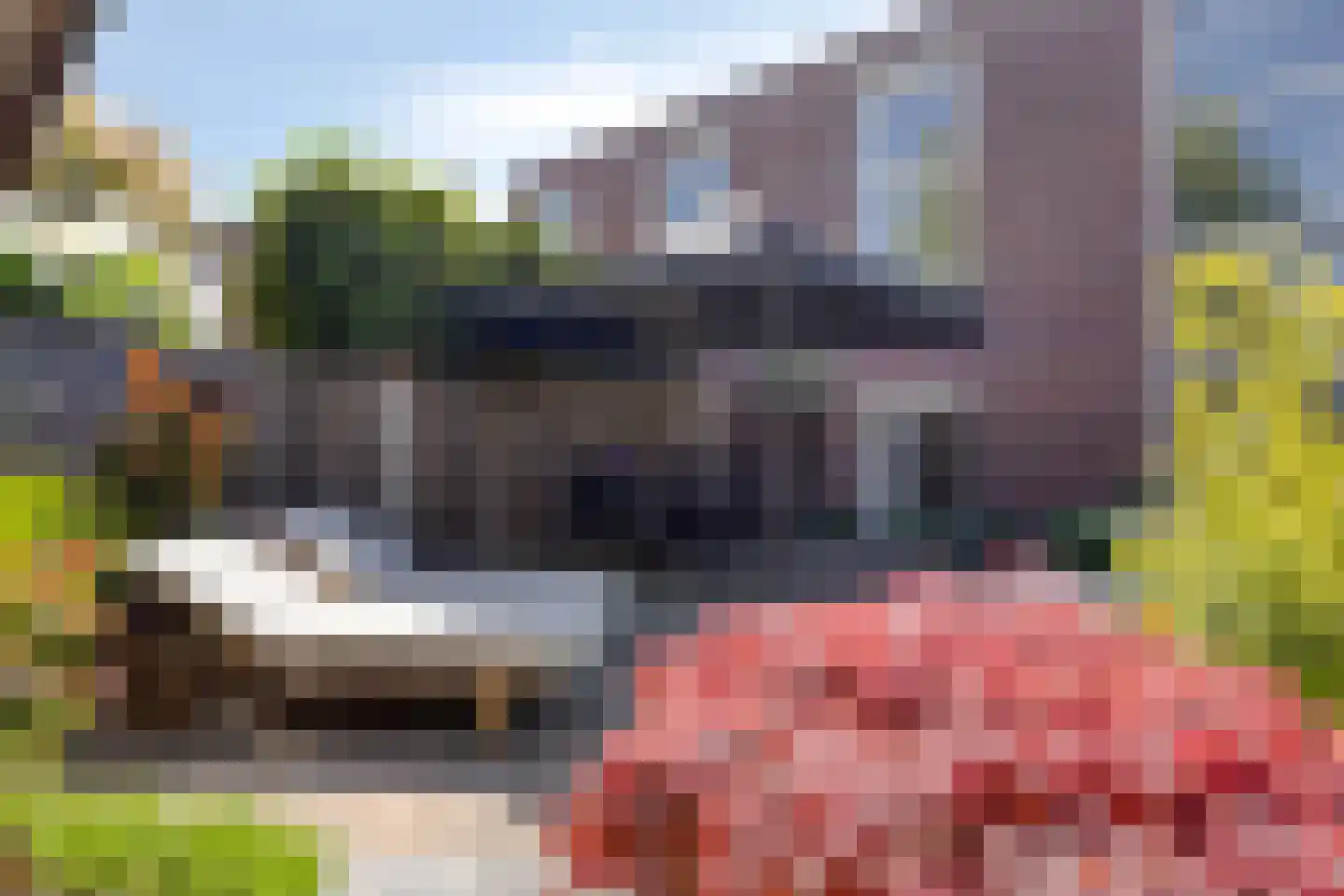 Buizerd 134 Veldhoven thumbnail 27