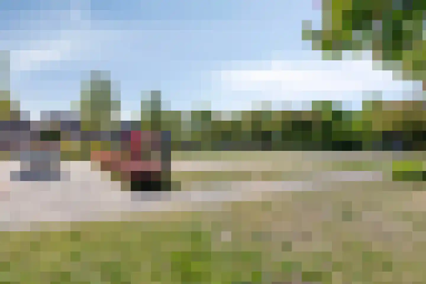 Buizerd 134 Veldhoven thumbnail 30