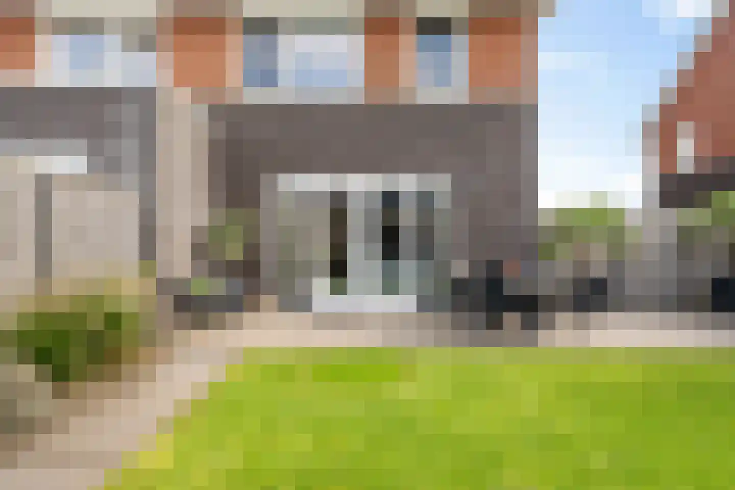 Buizerd 14 Baflo thumbnail 29