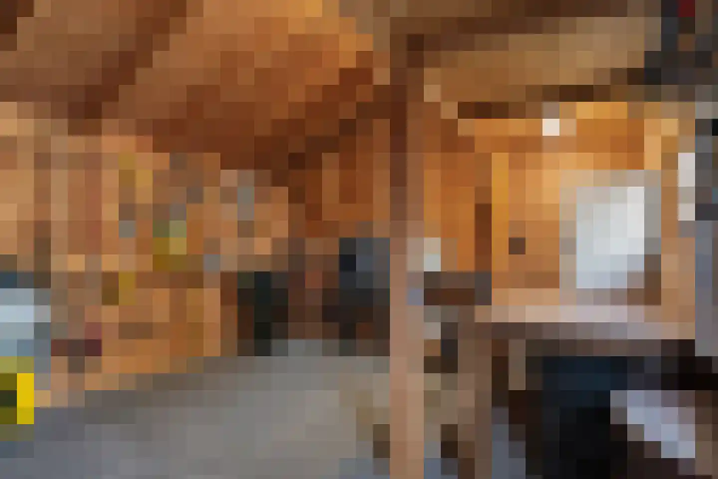 Buizerd 14 Baflo thumbnail 32