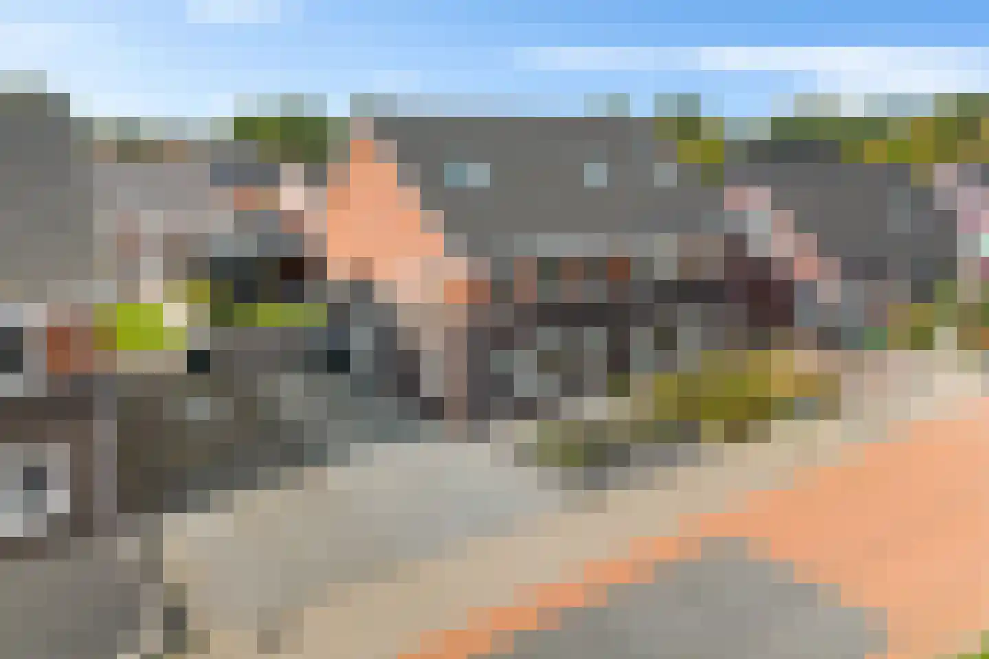 Buizerd 14 Baflo thumbnail 34