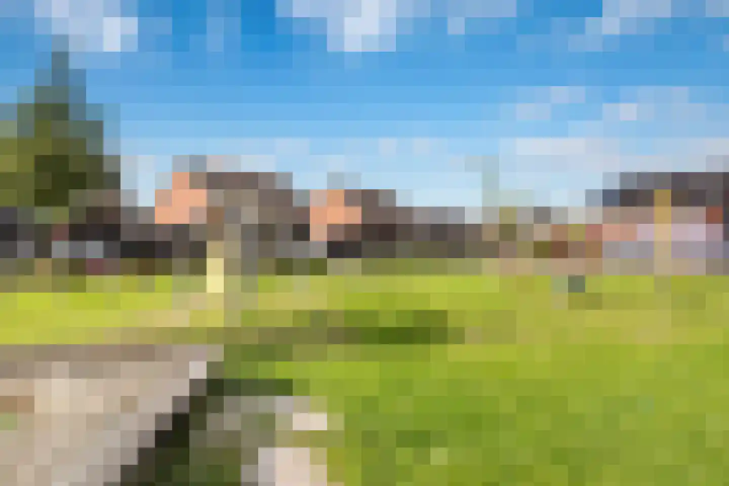 Buizerd 14 Baflo thumbnail 35
