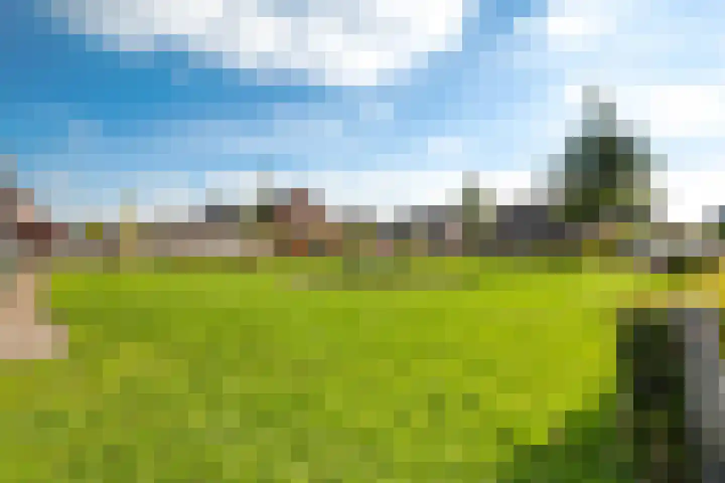 Buizerd 14 Baflo thumbnail 36