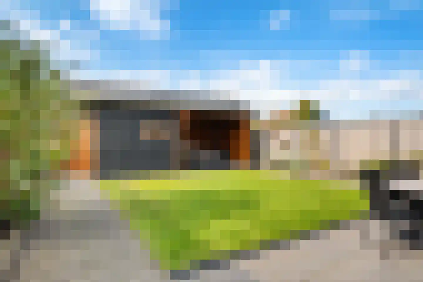 Buizerd 14 Baflo thumbnail 4