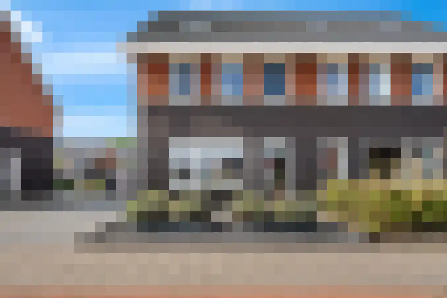 Buizerd 14 Baflo thumbnail 5