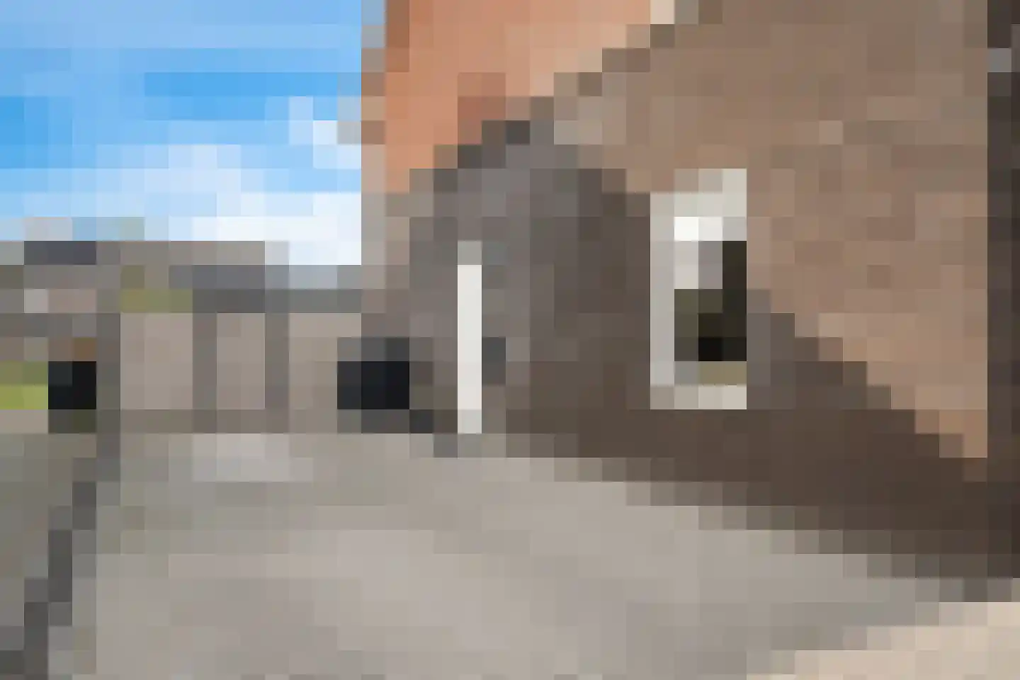 Buizerd 14 Baflo thumbnail 6