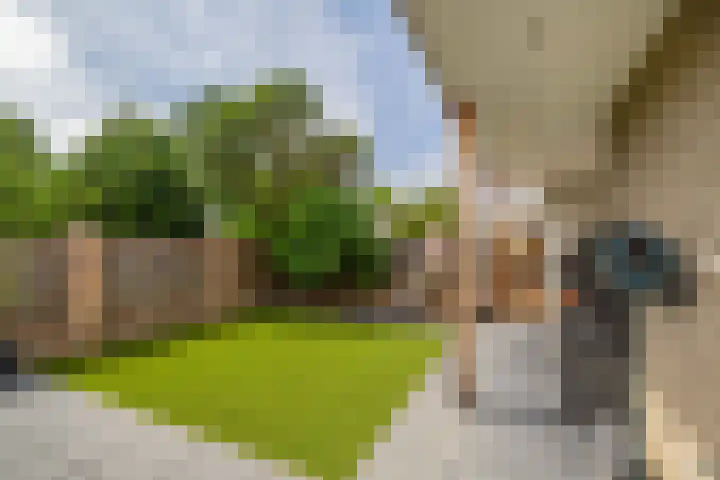 Buizerd 19 Veldhoven thumbnail 41