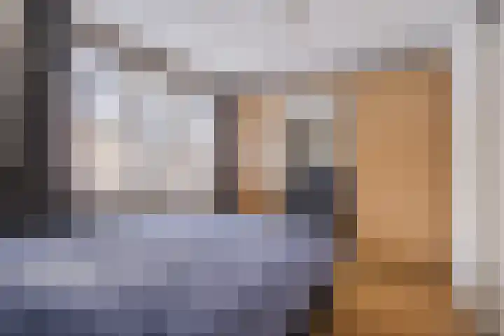 Buizerd 196 Veldhoven thumbnail 16