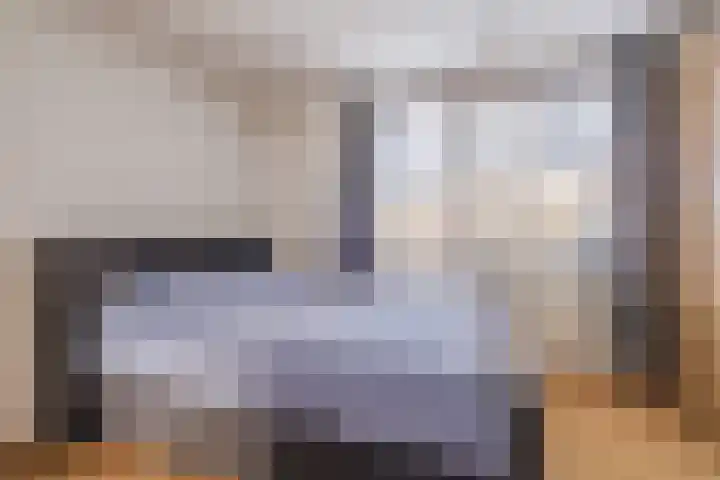 Buizerd 196 Veldhoven thumbnail 17