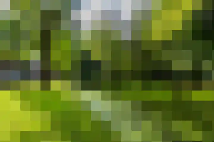 Buizerd 196 Veldhoven thumbnail 18