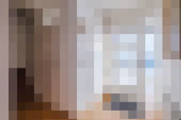 Buizerd 196 Veldhoven thumbnail 19