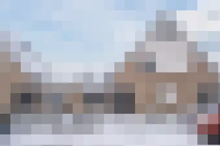 Buizerd 196 Veldhoven foto 2