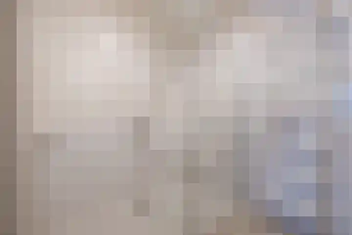 Buizerd 196 Veldhoven thumbnail 30