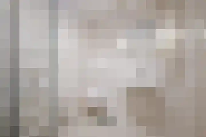 Buizerd 196 Veldhoven thumbnail 32