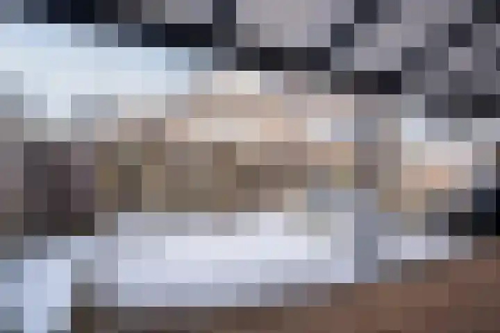 Buizerd 196 Veldhoven thumbnail 34