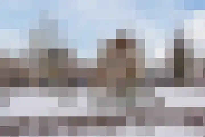 Buizerd 196 Veldhoven thumbnail 39