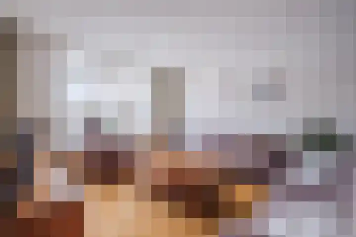 Buizerd 196 Veldhoven thumbnail 4