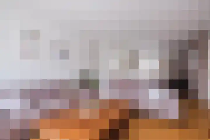 Buizerd 196 Veldhoven thumbnail 7