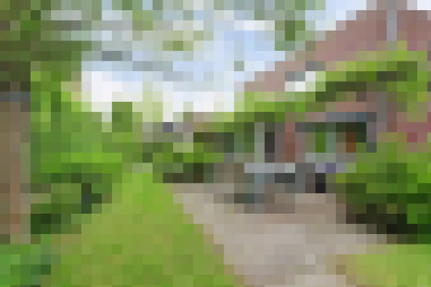 Buizerd 2 Terneuzen thumbnail 39
