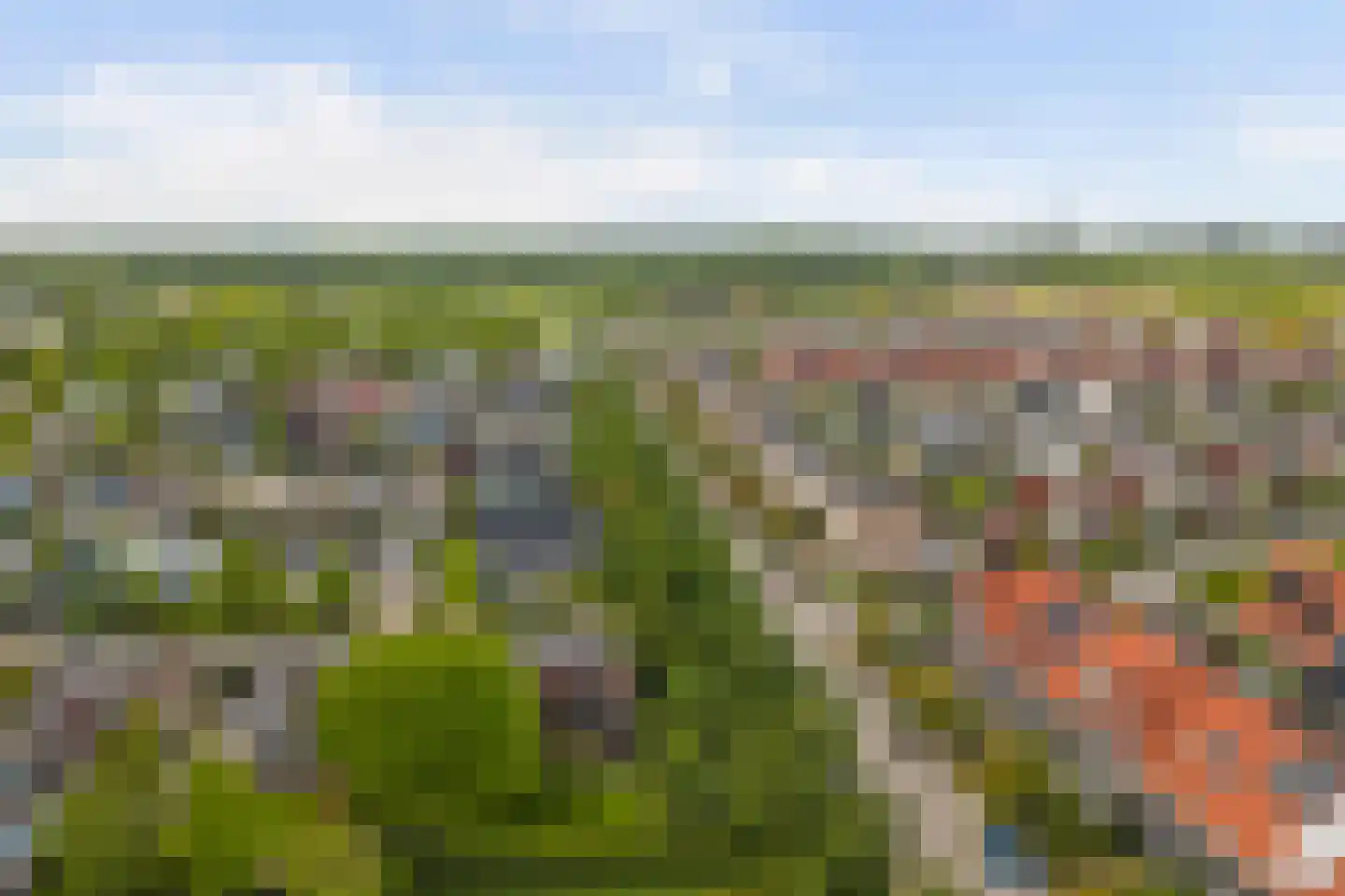 Buizerd 2 Terneuzen thumbnail 4