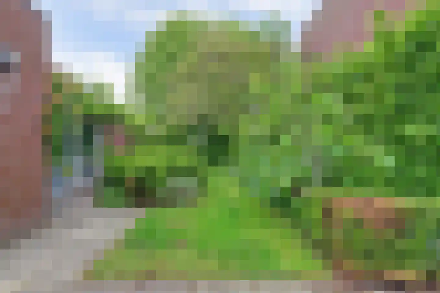 Buizerd 2 Terneuzen thumbnail 30