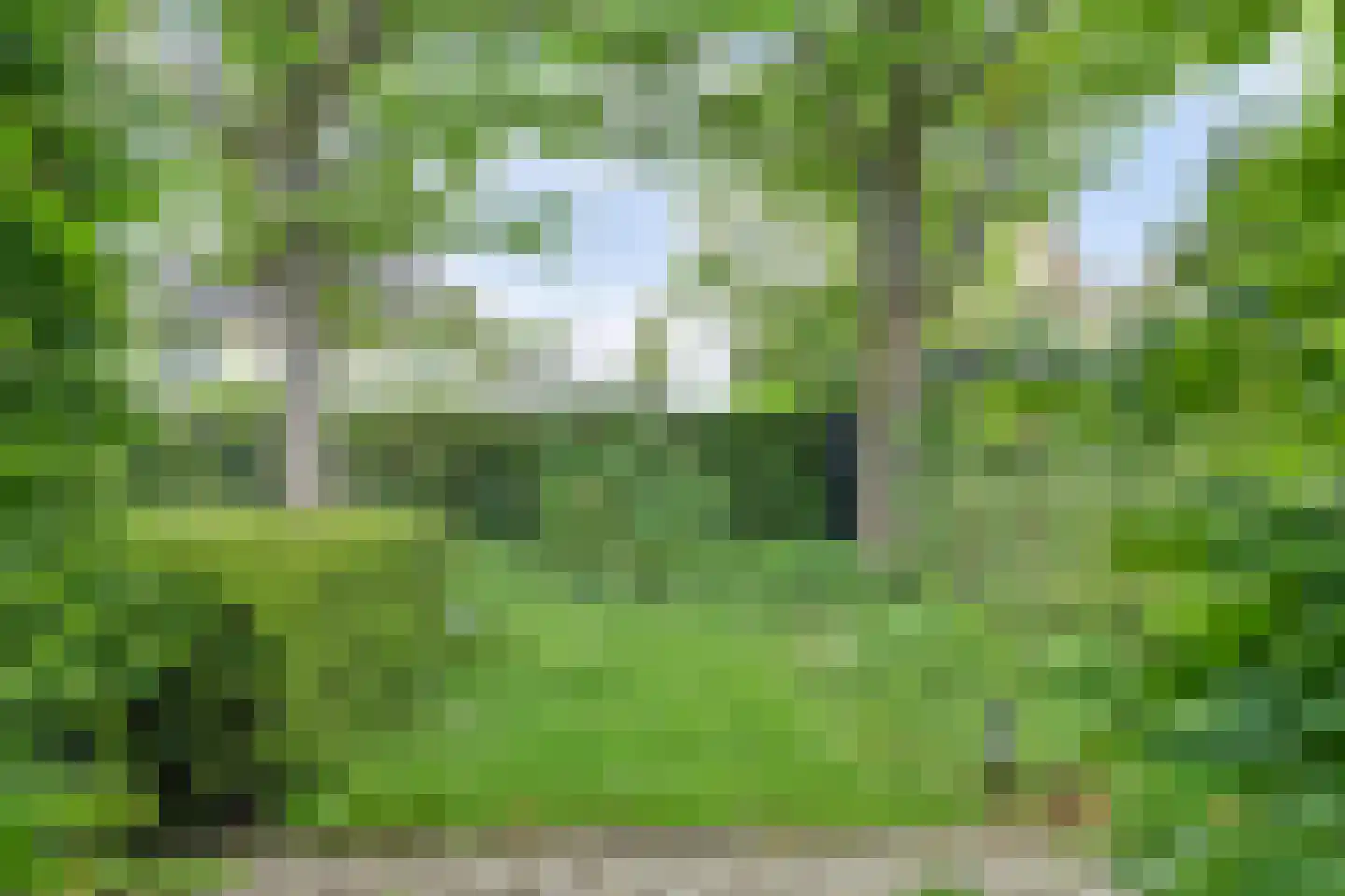 Buizerd 2 Terneuzen thumbnail 31
