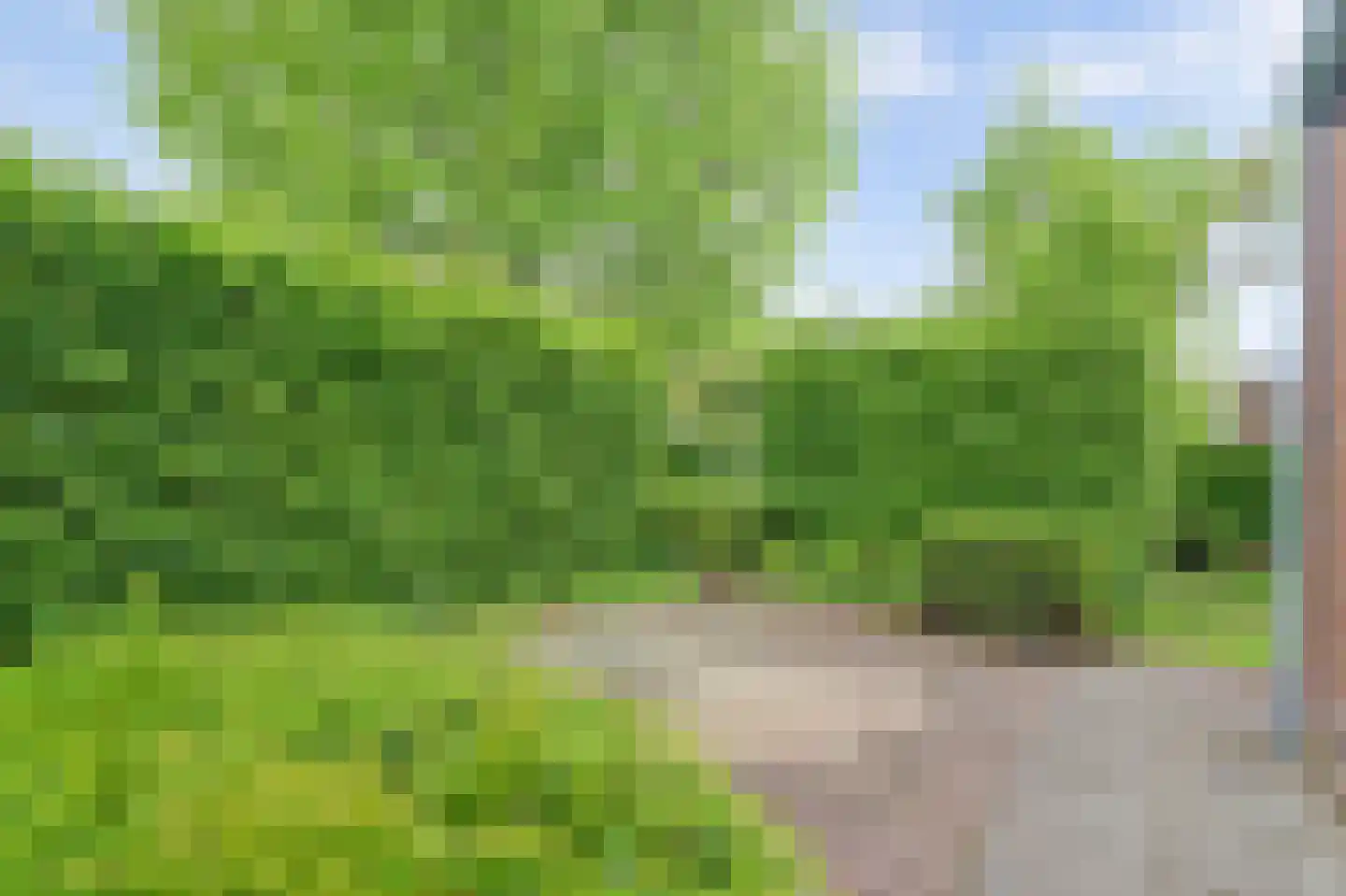 Buizerd 2 Terneuzen thumbnail 32