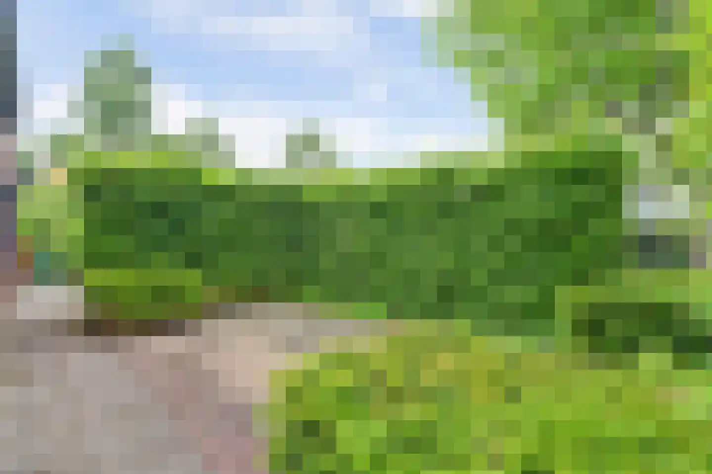 Buizerd 2 Terneuzen thumbnail 44