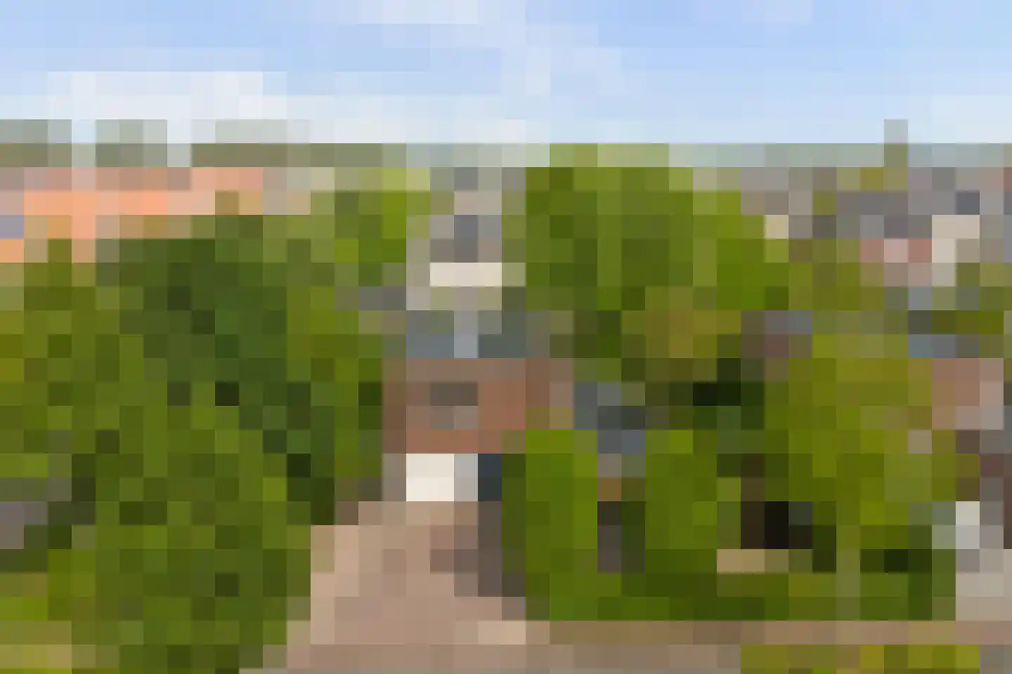Buizerd 2 Terneuzen thumbnail 46
