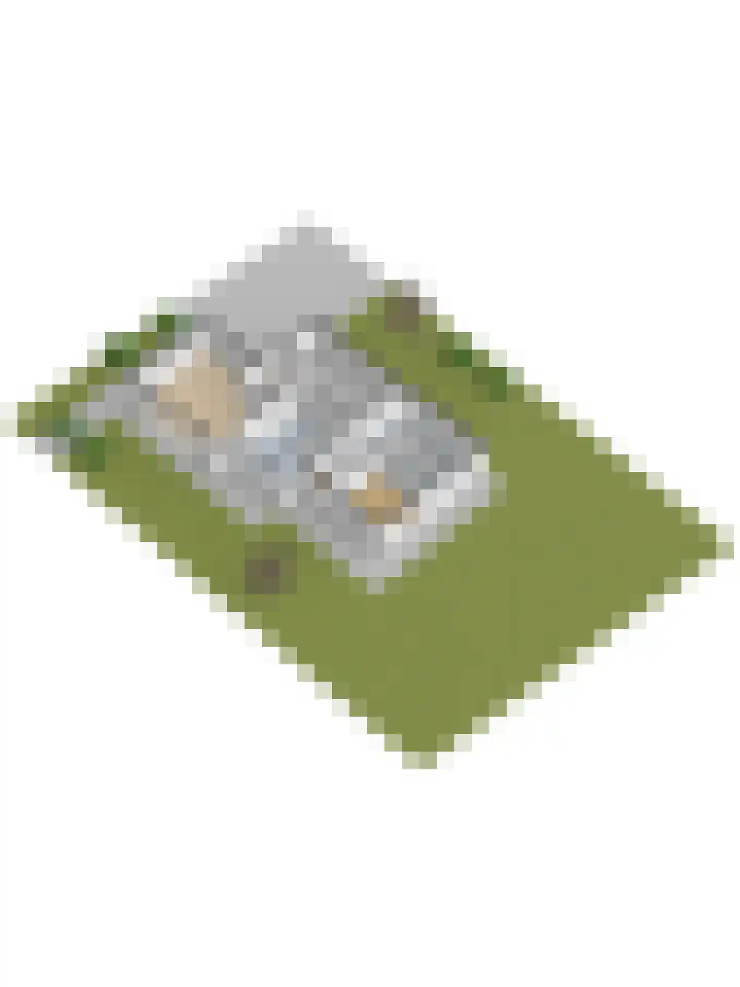 Buizerd 2 Terneuzen thumbnail 39