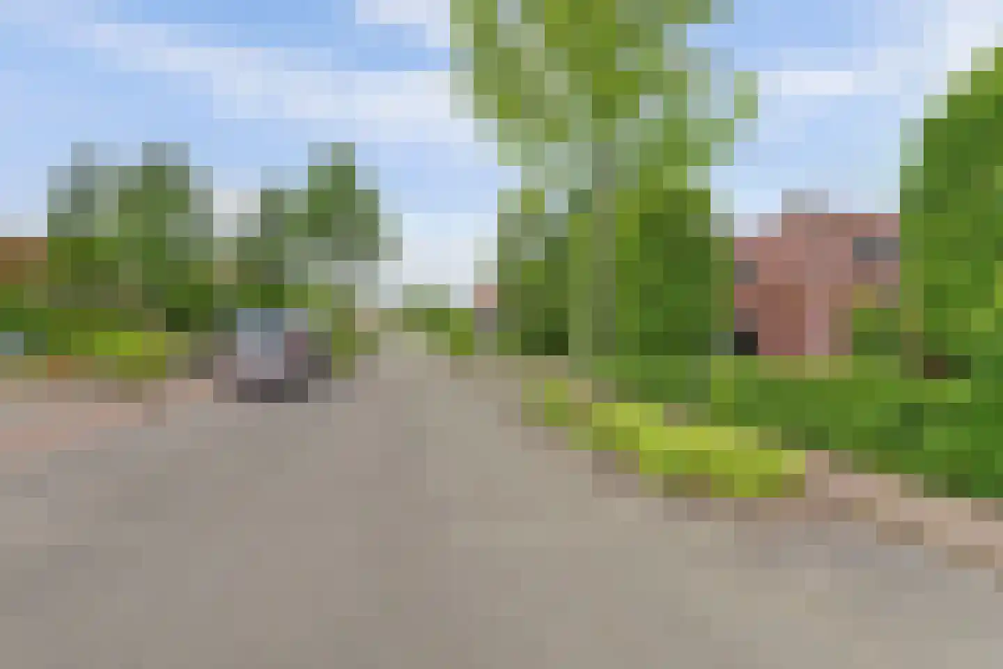 Buizerd 2 Terneuzen thumbnail 7